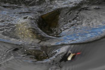 EA346940, Eastpress, Hamina, Finland